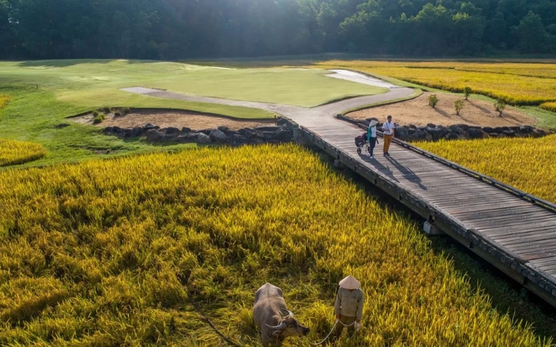 how to plan a perfect family golf tour in vietnam