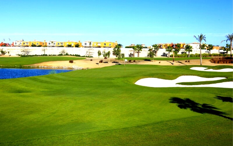 Play golf at Palm Hills Golf Resort & Country Club