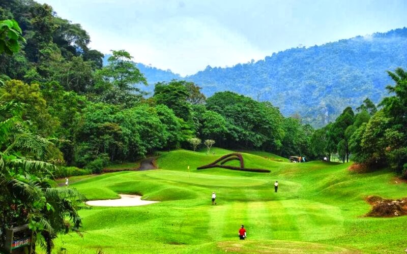 Play golf at Templer Park Country Club