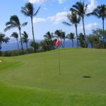 Fantasy Island Golf Club 1