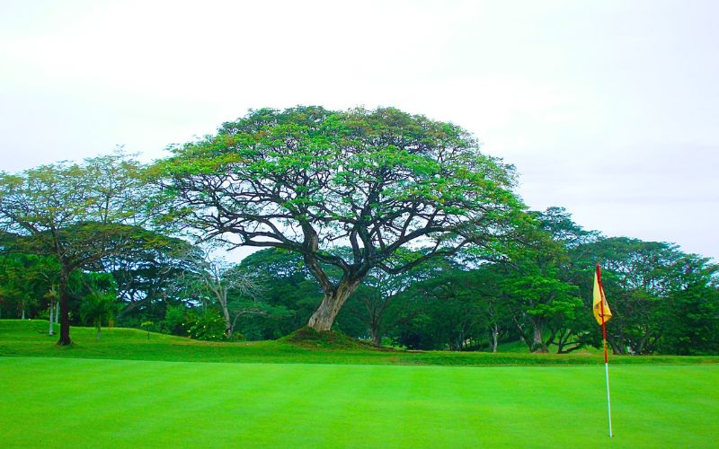 Leyte Golf and Country Club 1
