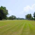Tanjong Emas Golf Club 2