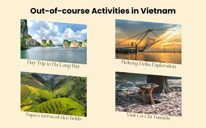 out of course activities in vietnam