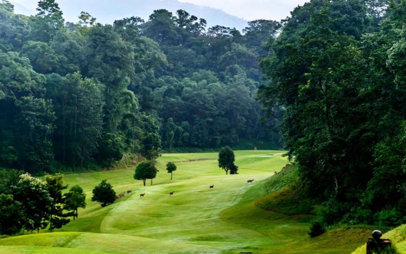 Jungle Golf Club 1