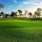 Palm Hill Golf Club 1