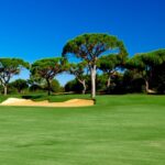 Tenera Golf Club (1)