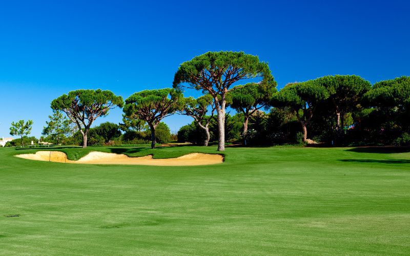 Tenera Golf Club (1)