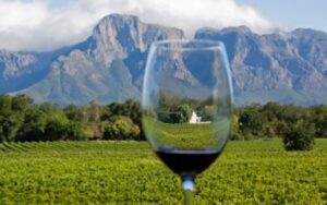 Cape Winelands