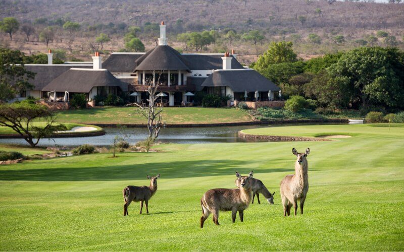 Leopard Creek Country Club 1