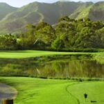 The Montagu Course at Fancourt