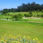 Bellville Golf Club 3