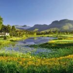 The Outeniqua at Fancourt 3
