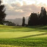 East London Golf Club 3