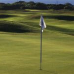 Humewood Golf Club 2