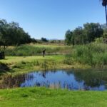 Oudtshoorn Golf Club 1