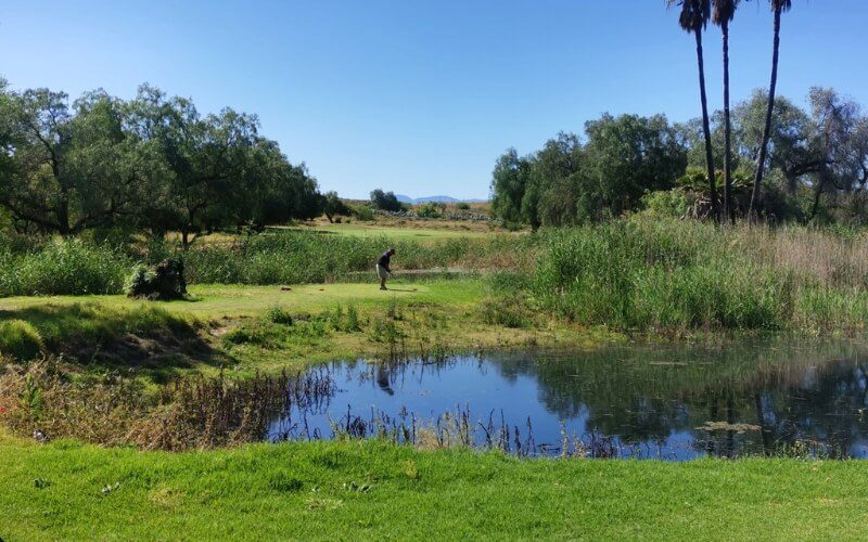 Oudtshoorn Golf Club 1