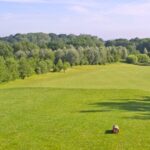 alexander golf club 2