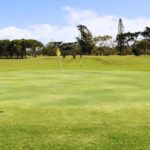 alexander golf club 3