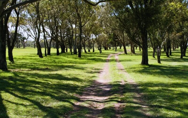 alexander golf club