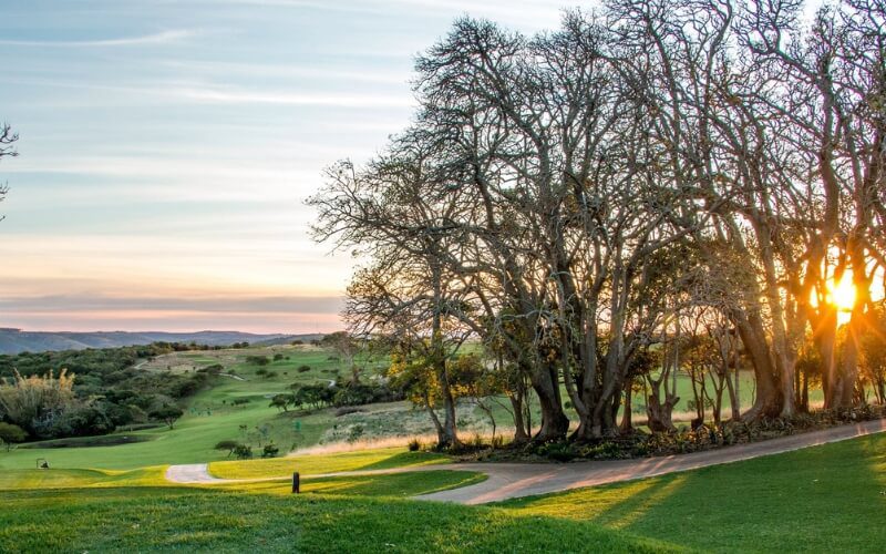 Olivewood Golf Estate