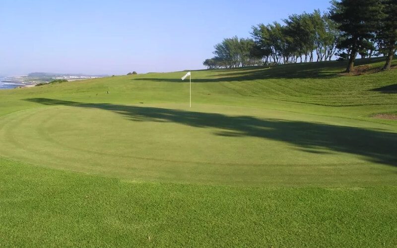 West Bank Golf Club 3