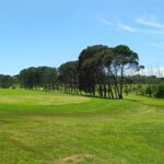 uitenhage golf club 2