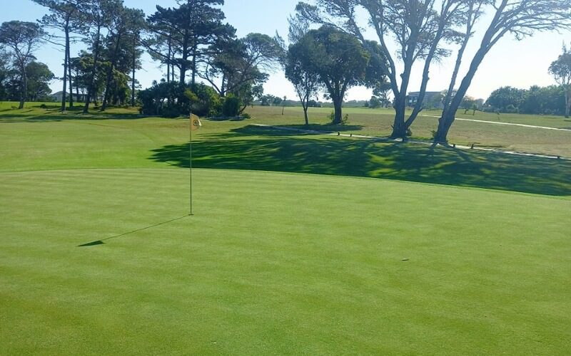 walmer country club 1