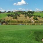 Blue Valley Golf and Country Estate 1