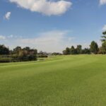 benoni country club 1