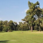 benoni country club 3
