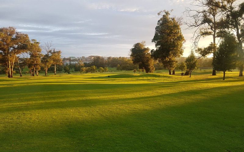 cmr golf club 1