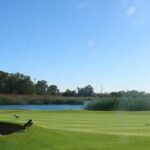 germiston golf club 2