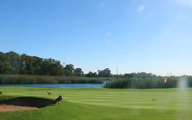 germiston golf club 2