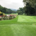glendower golf club 3
