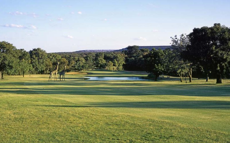 Ohenimuri Country Club 2