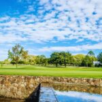 irene country club 1