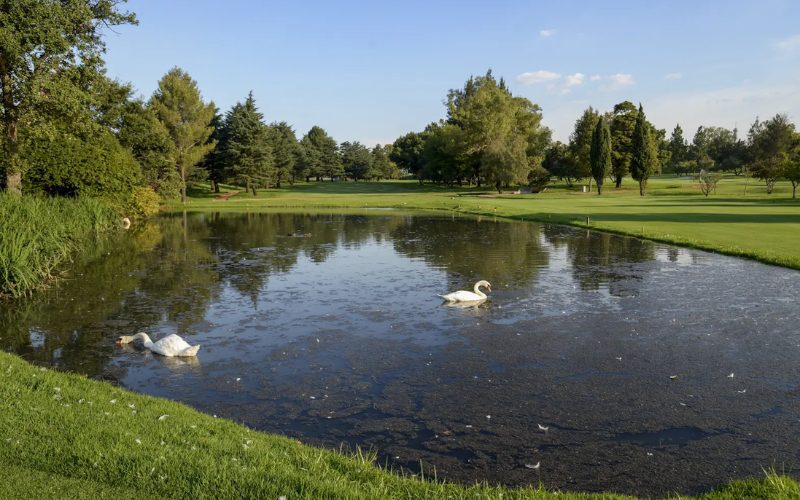 killarney country club 3