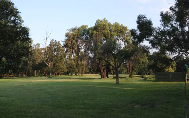 nigel golf club 3
