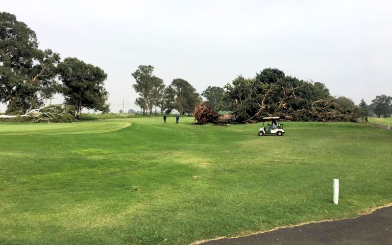 Royal Oak Country Club 1