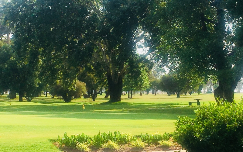 Royal Oak Country Club Golf In South Africa Golflux