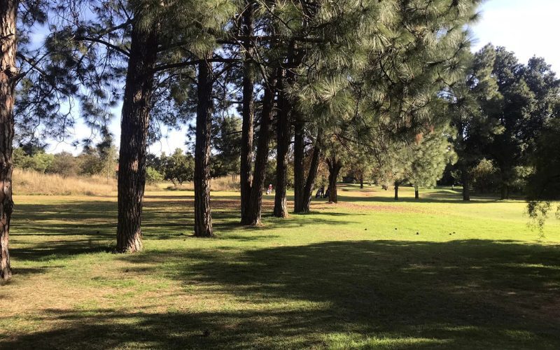 Services Golf Club 3