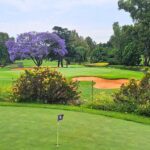 Wingate Park Country Club (1)