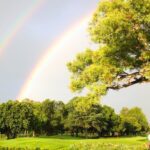 Zwartkop Country Club (3)