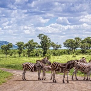 Best Time to Visit South Africa for Golf Holidays