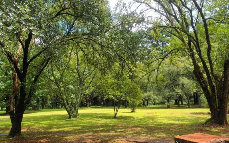 Eagles Creek Golf 1