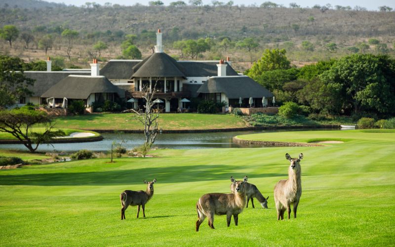 Leopard Creek Country Club (Mpumalanga)