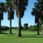 Oppenheimer Park Golf Club 1