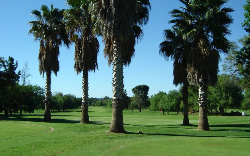 Oppenheimer Park Golf Club 1