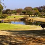 Seasons Lifestyle Estate 1