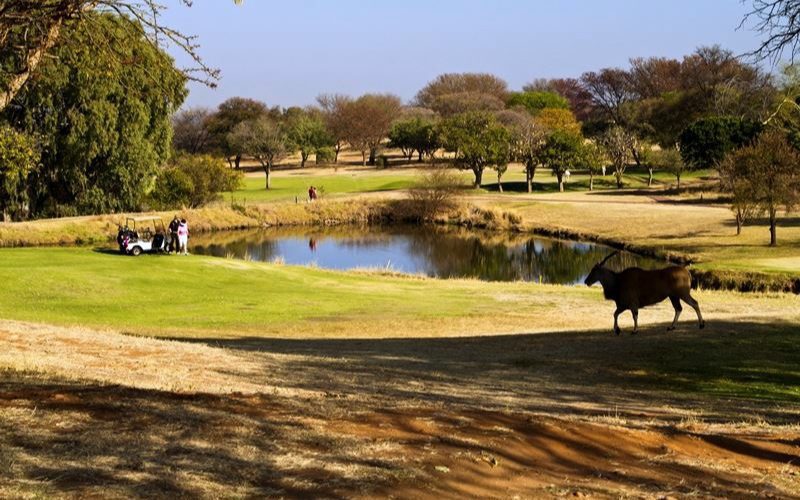 Seasons Lifestyle Estate 1